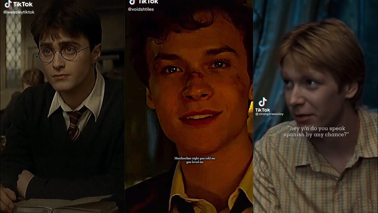 Harry Potter Boys x Y/N TikTok POV