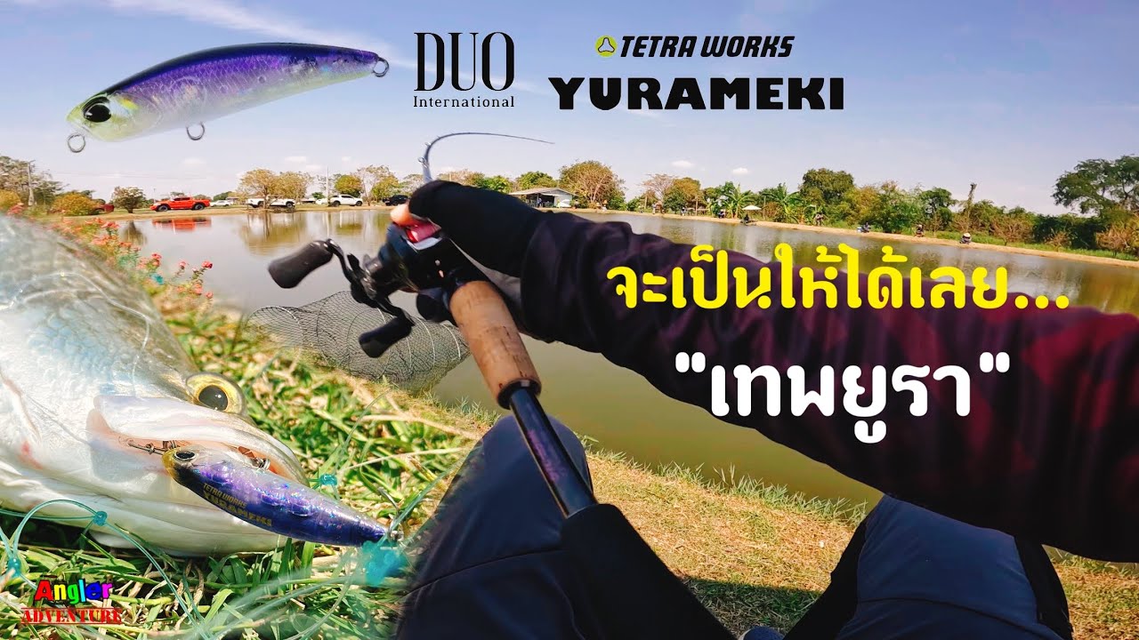เทพยูรา…พารอดแห้ว ที่บ่อธนกรฟาร์ม #ตกปลากระพง #fishing #yurameki 