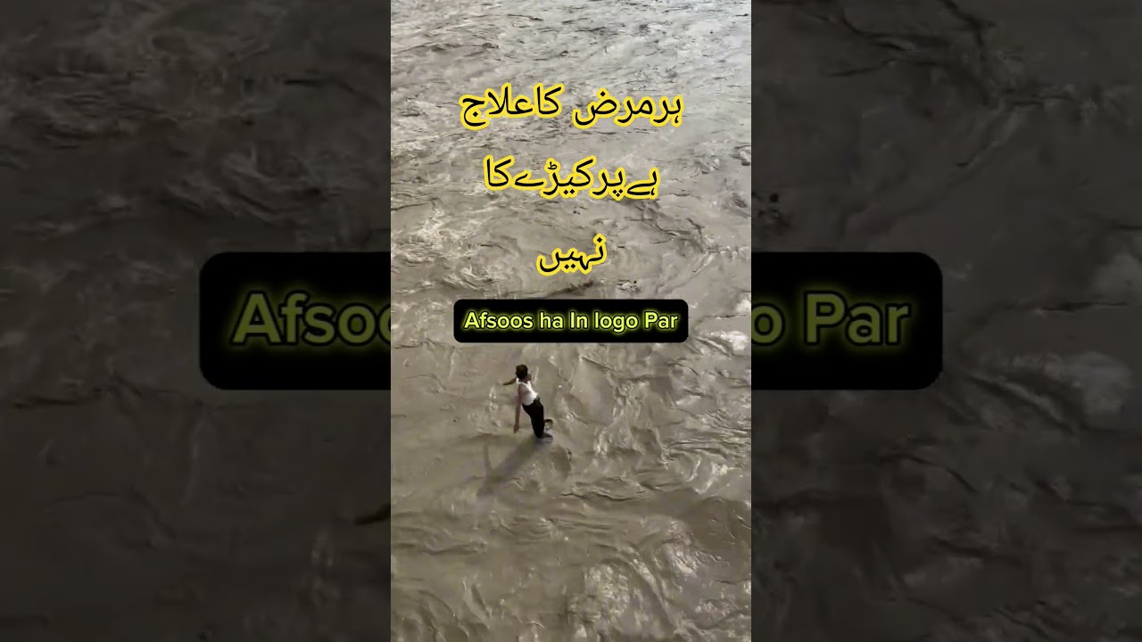 Sutlej River Heavy Flood Update #flood #satlujriver #nature #sutlejriver #river