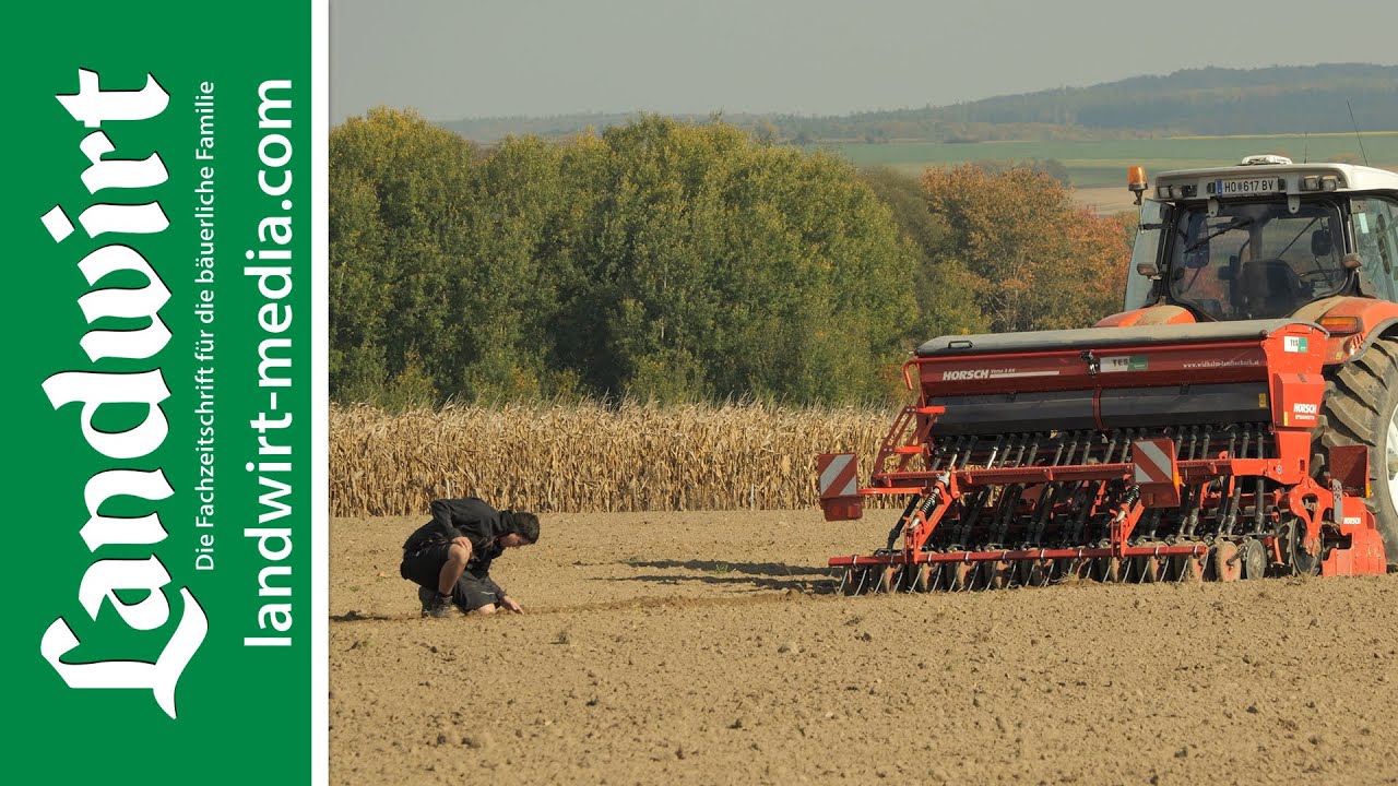 Einfach und flexibel: Horsch Versa 3 KR im Test | landwirt-media.com