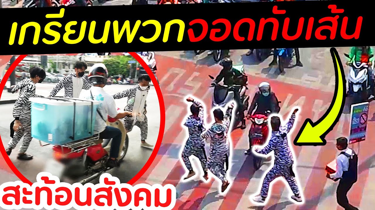 ปั่นพวกจอดทับทางม้าลาย! [สะท้อนสังคม] | DOM x Koreadong