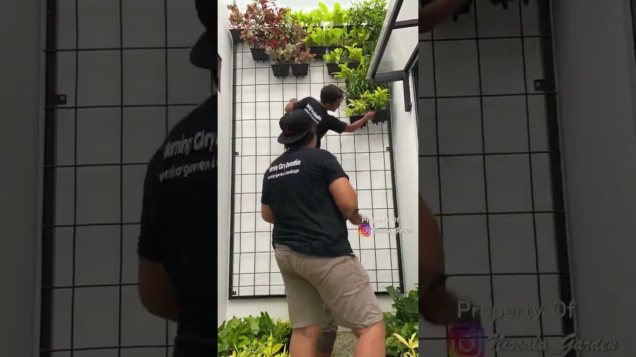 Proses Membuat Vertical Garden 14