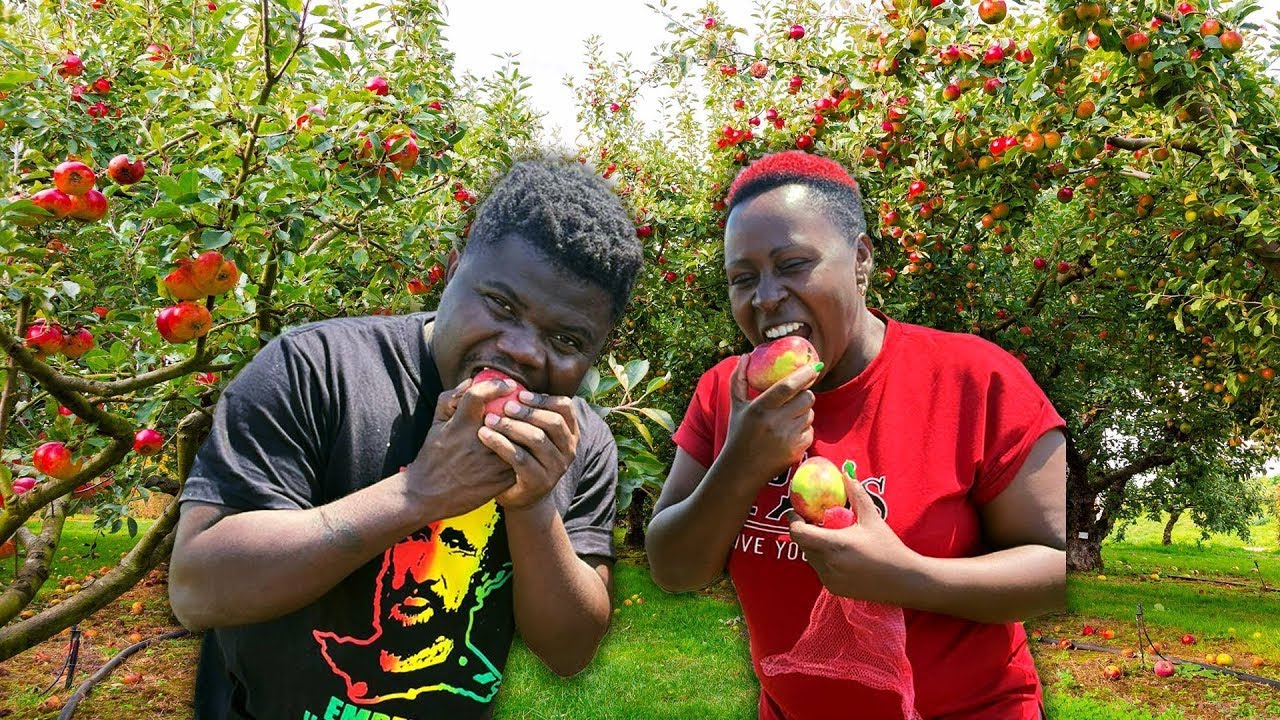 WODE MAYA'S VISIT TO OUR FARM IN LAIKIPIA COUNTY, KENYA. (full video)