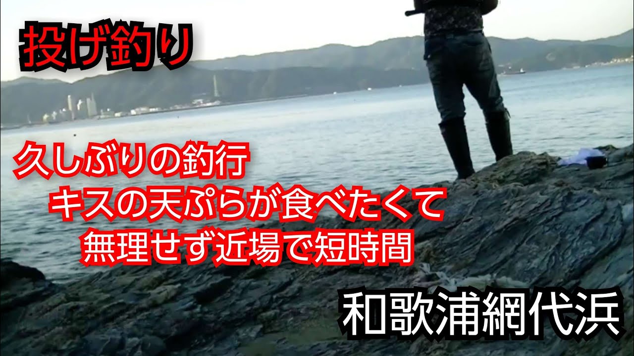 【和歌浦】投げ釣り(20250606)