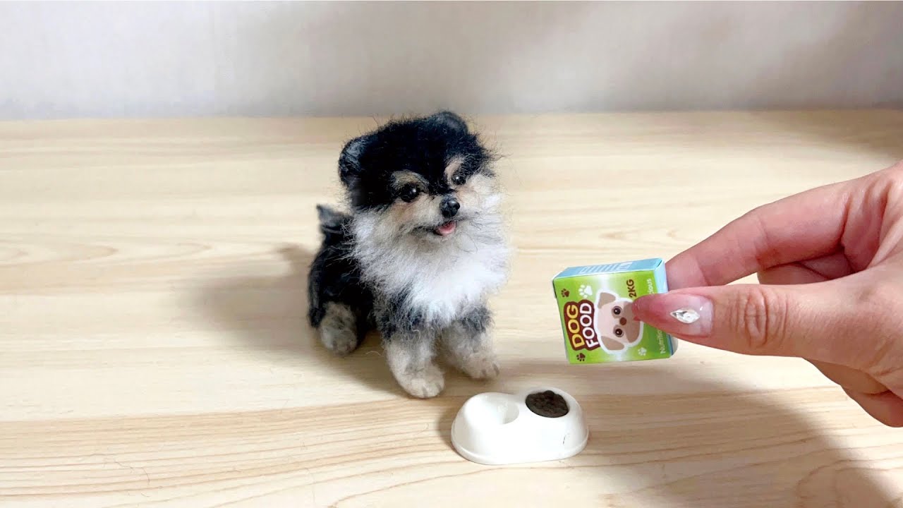 양모펠트로 강아지 몰리 만들기ㅣMaking a felt puppy with wool
