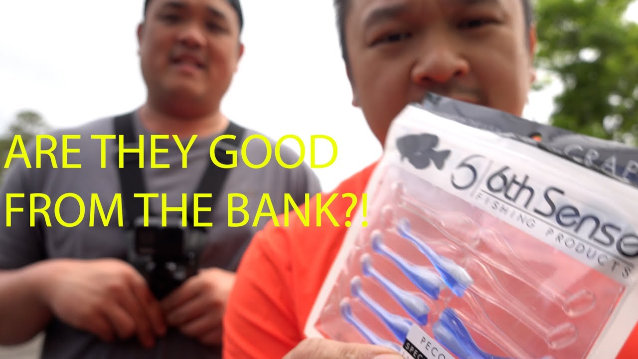 6th Sense Crappie Baits Review From The Bank!