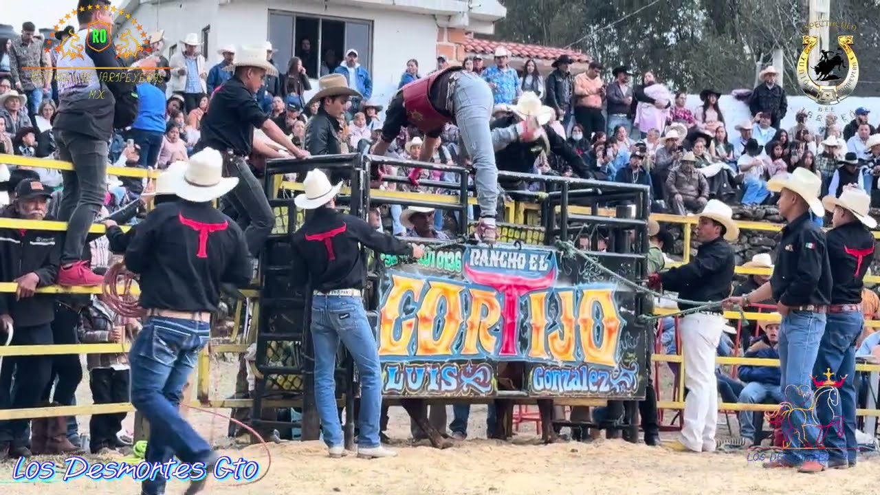 Rancho el cortijo en Desmontes  Gto,dinero quedas y porrazos que gran  jaripeo 🐂🤠
