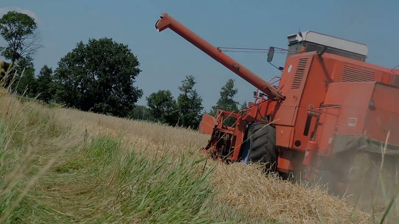☆Żniwa 2024☆5xBizon☆Ursus☆Zetor☆Belarus☆