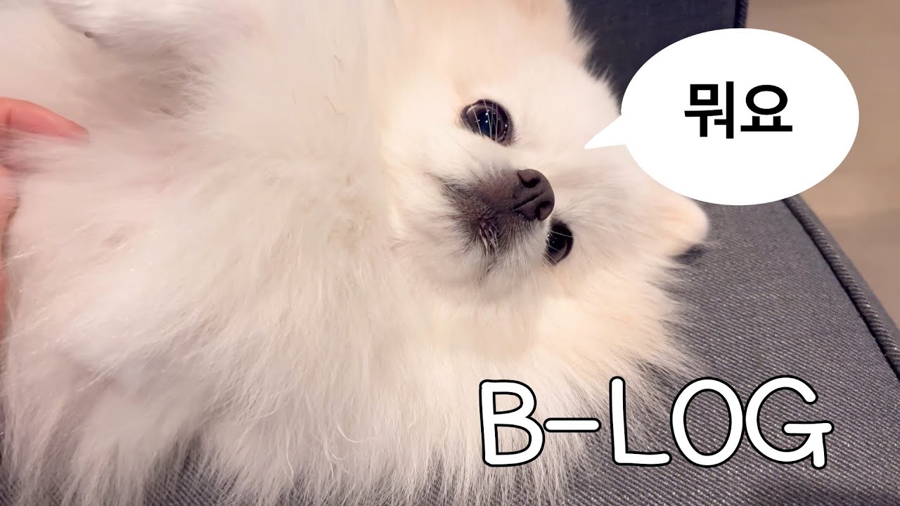 개무시 당한 날