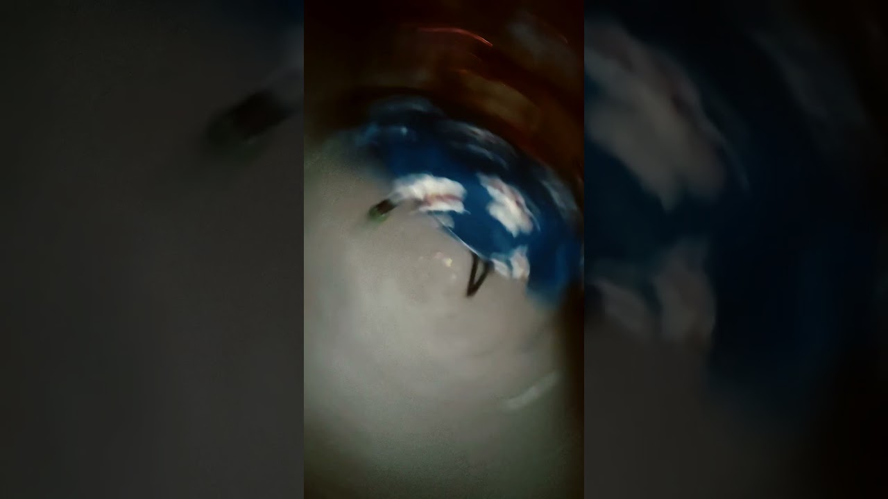 13 January 2026