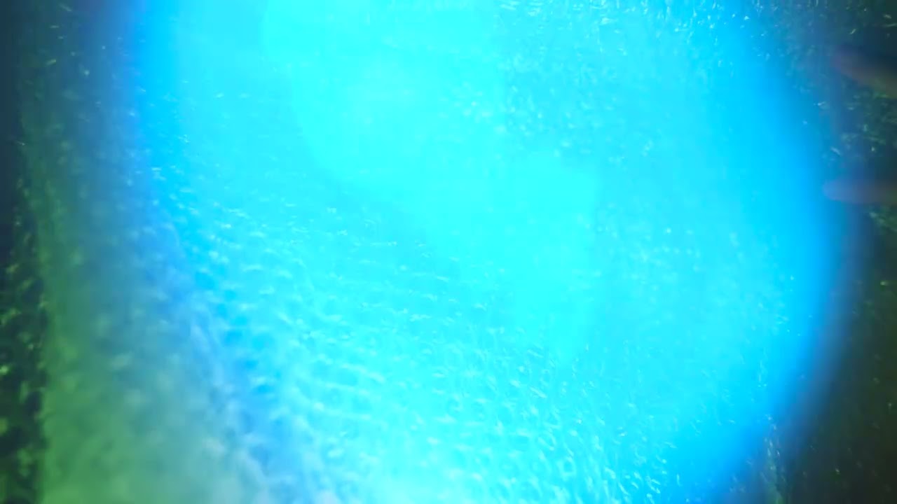 sensory experimental film