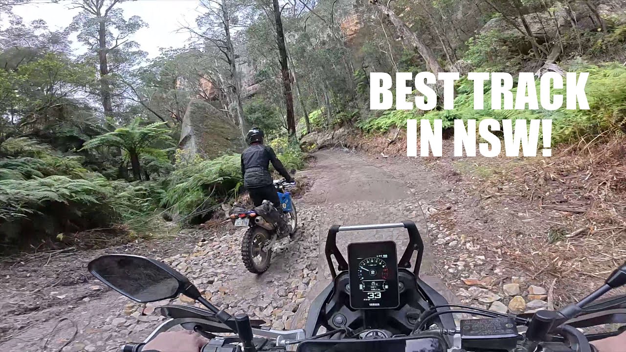 YAMAHA TENERE WORLD RAID 6 DAY SOLO ADVENTURE! Day 4 - BEST TRACK IN NEW SOUTH WALES!