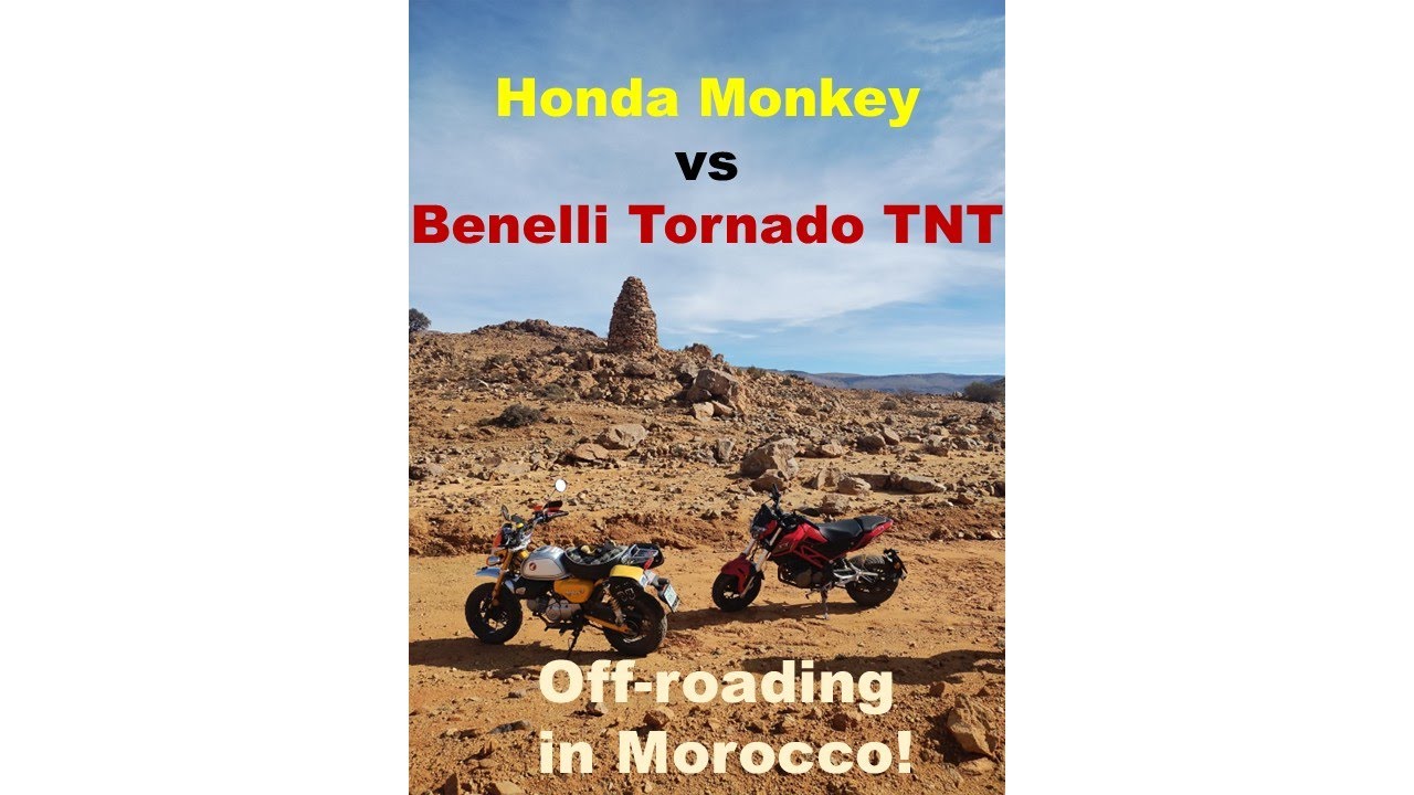 Honda Monkey vs Benelli Tornado TNT in Morocco!