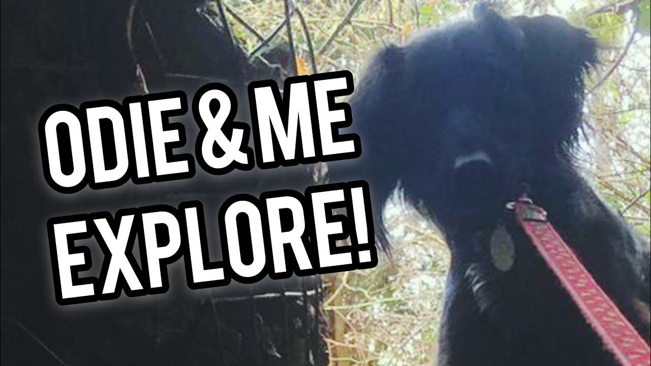 Odie & Me explore a hidden tunnel!