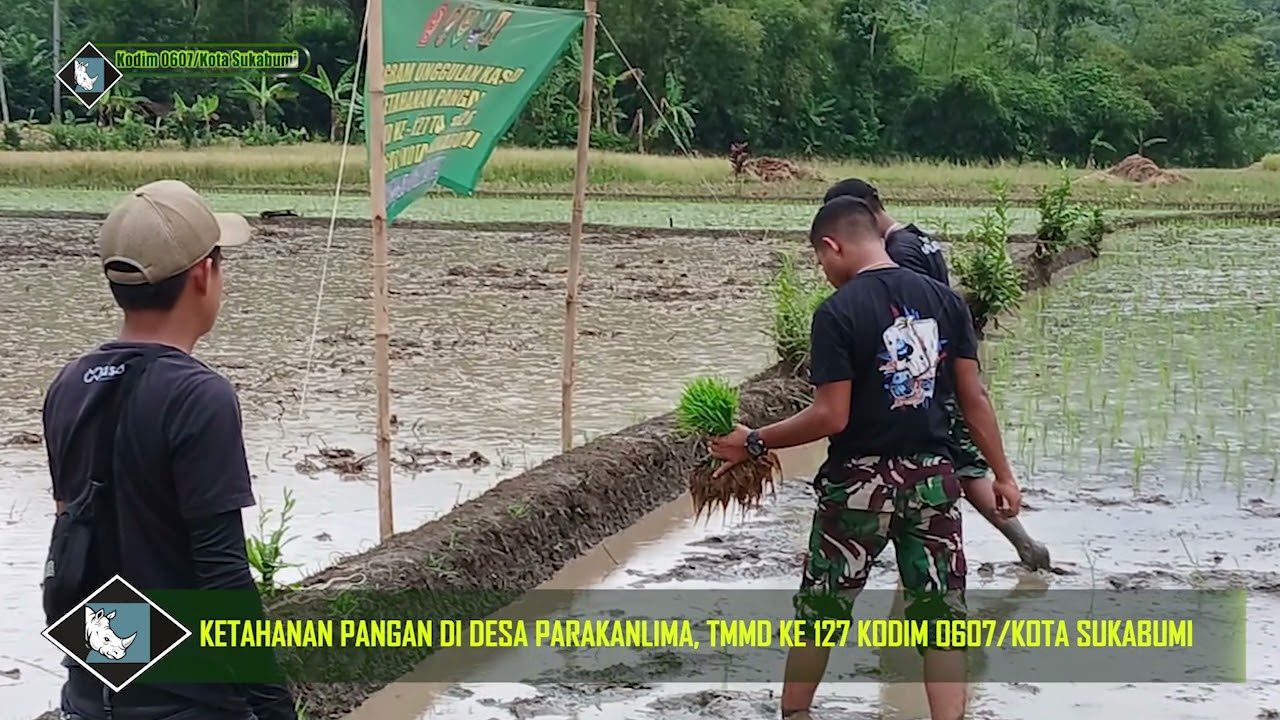 Bukan Sekadar Infrastruktur! TMMD Ke-127 Kodim 0607 Bangun Kedaulatan Pangan dari Desa Parakanlima