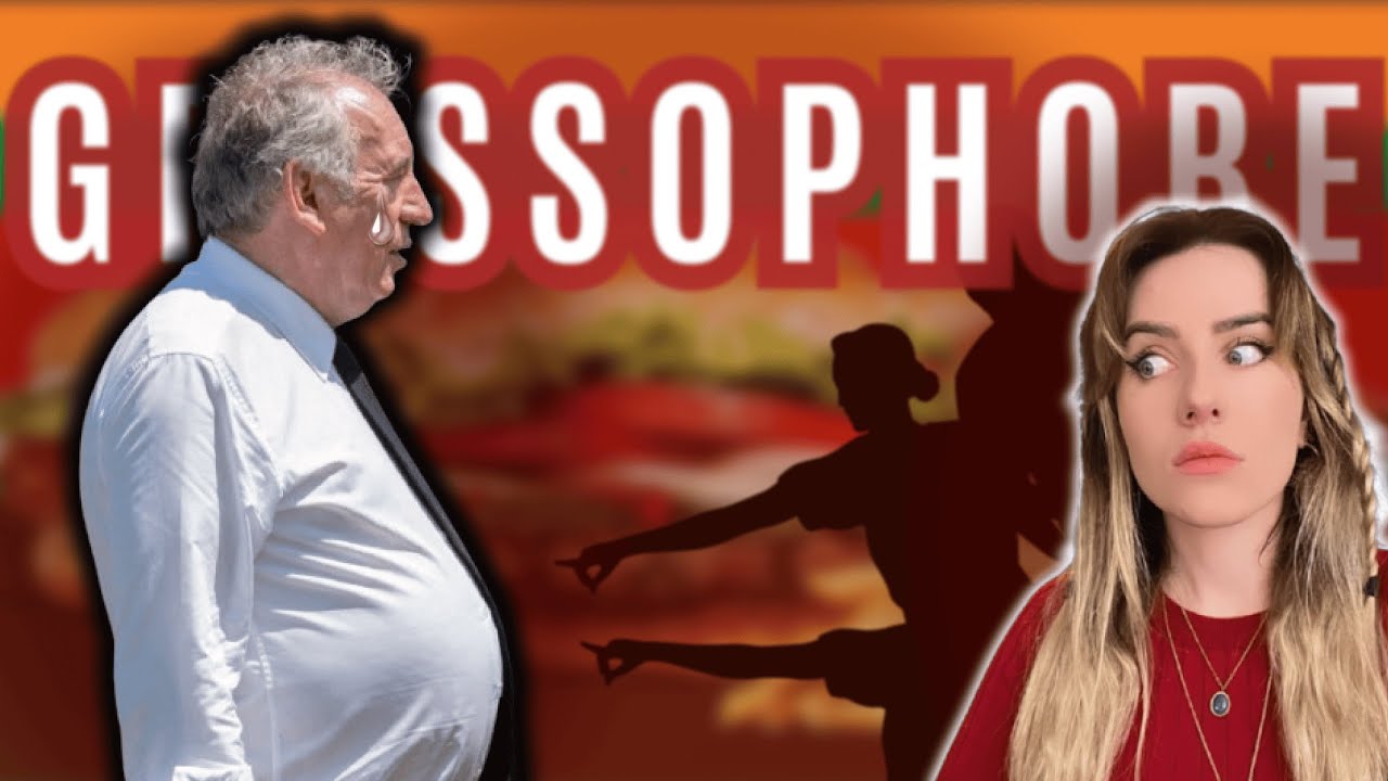 SE MOQUER de BAYROU est GROSSOPHOBE