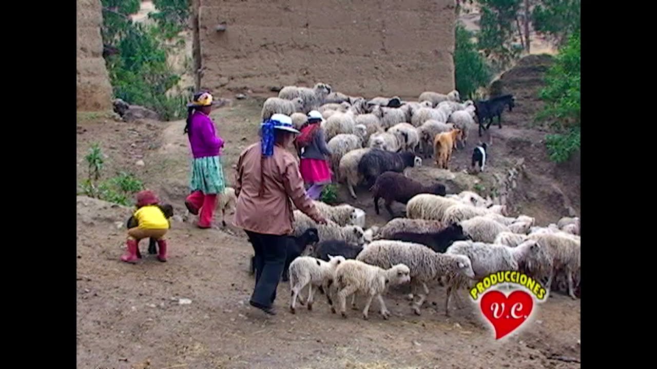 MAXIMA CEFERINO / SIETE CLASES / BANDA VIRGEN DEL ROSARIO DE ANRA