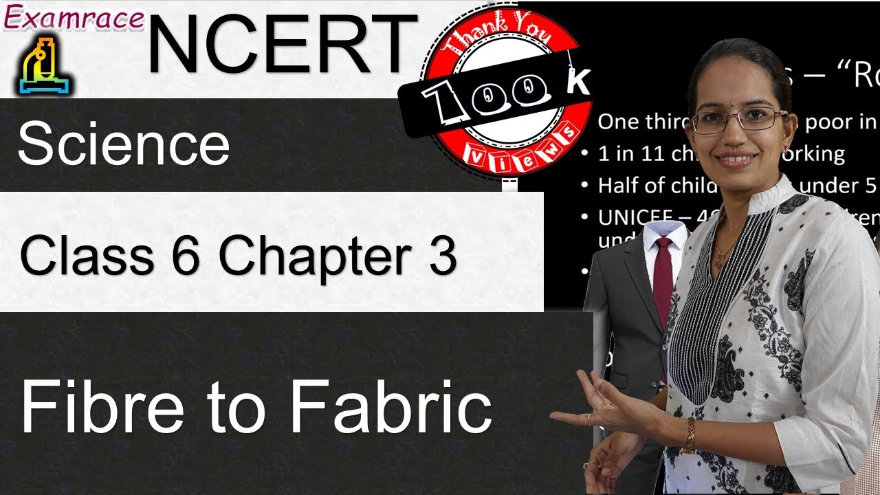 NCERT Class 6 Science Chapter 3: Fibre to Fabric (NSO/NSTSE/Olympiad) | English doorsteptutor.com