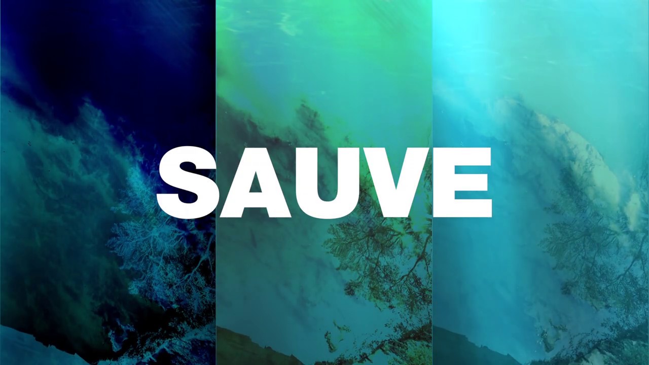 Sauve