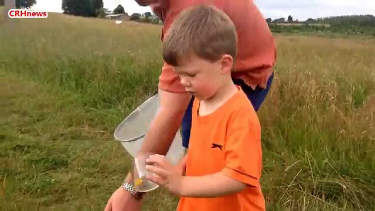 CRHnews - Catching the bug for creepy crawlies - RHS Garden Hyde Hall