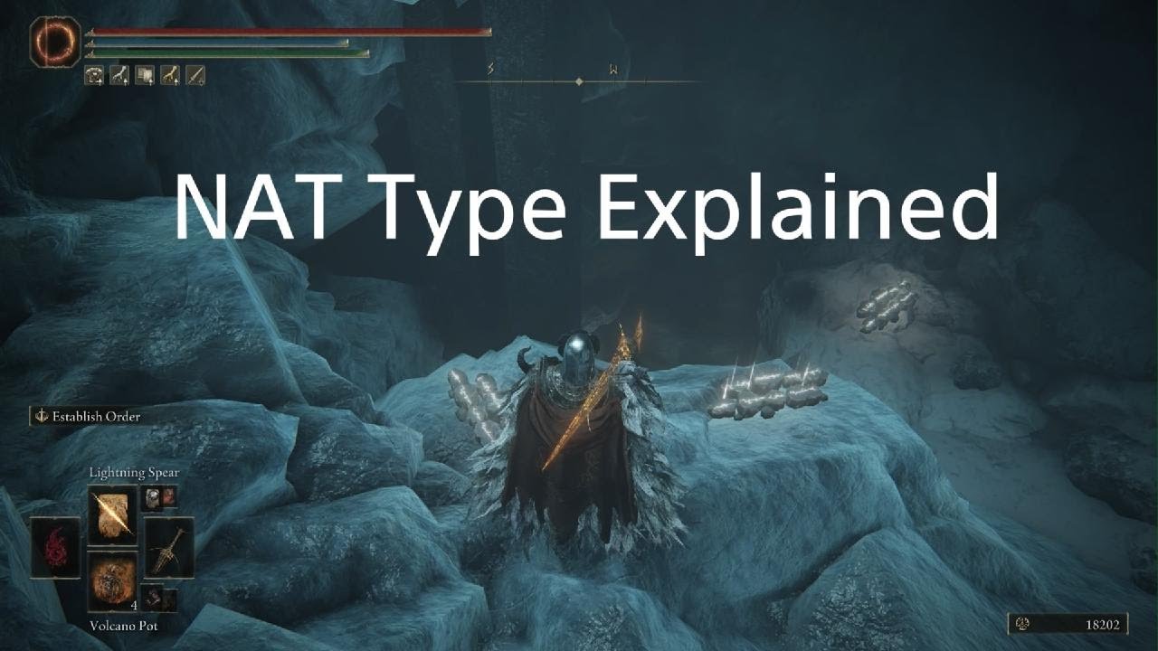 NAT Type Explained, no Port opening or IP updates required.