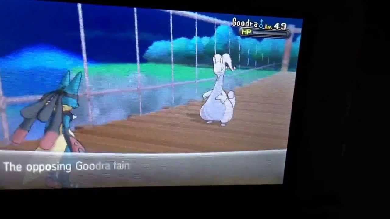 Pokemon X and Y Shauna battle