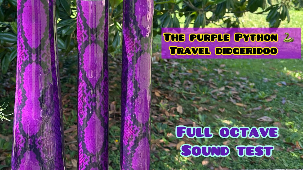 Purple python travel didgeridoo: full sound test 