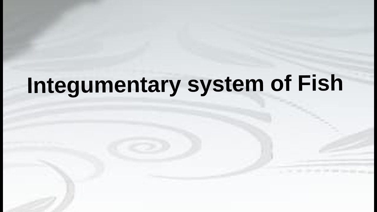 Integumentary System of Fish