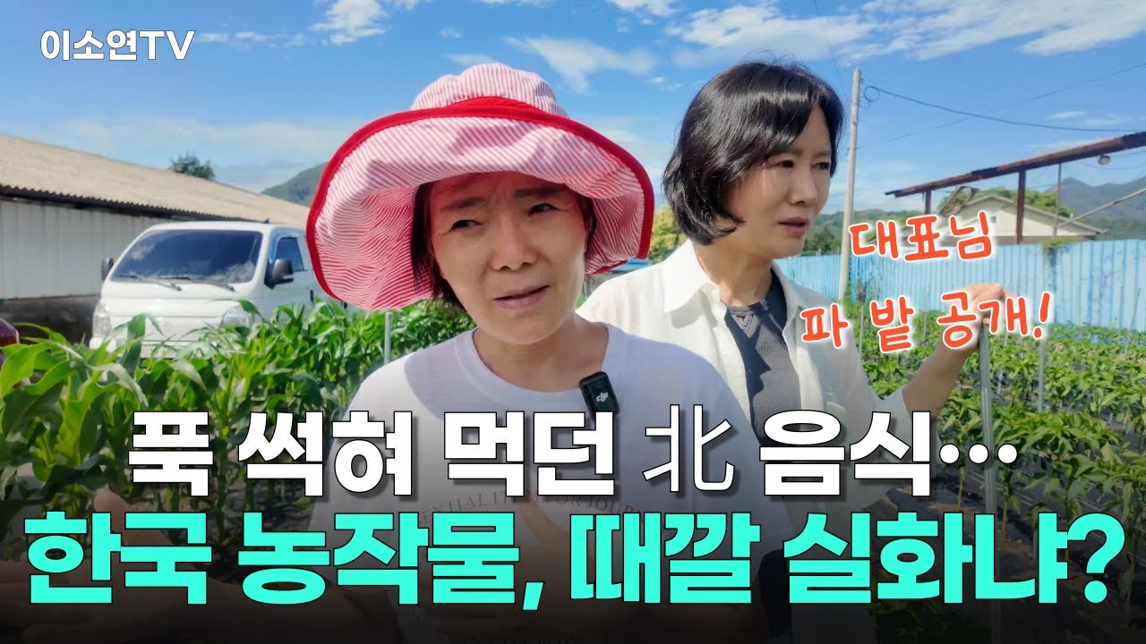 북한과는 너무 달랐던 한국의 ‘밭 풍경’, 파 밭이 꽃밭이 된 사연 들려드립니다.