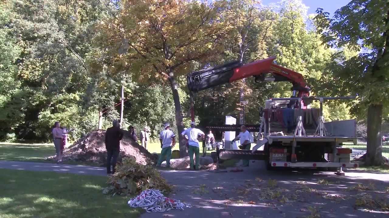 Transplantation d'un marronnier de la plaine de Plainpalais au parc Bertrand
