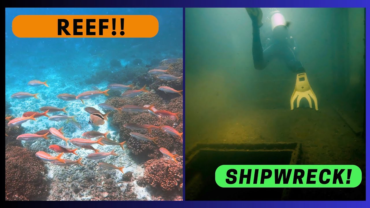 Scuba diving La Paz, Mexico (shipwreck and coral reef)