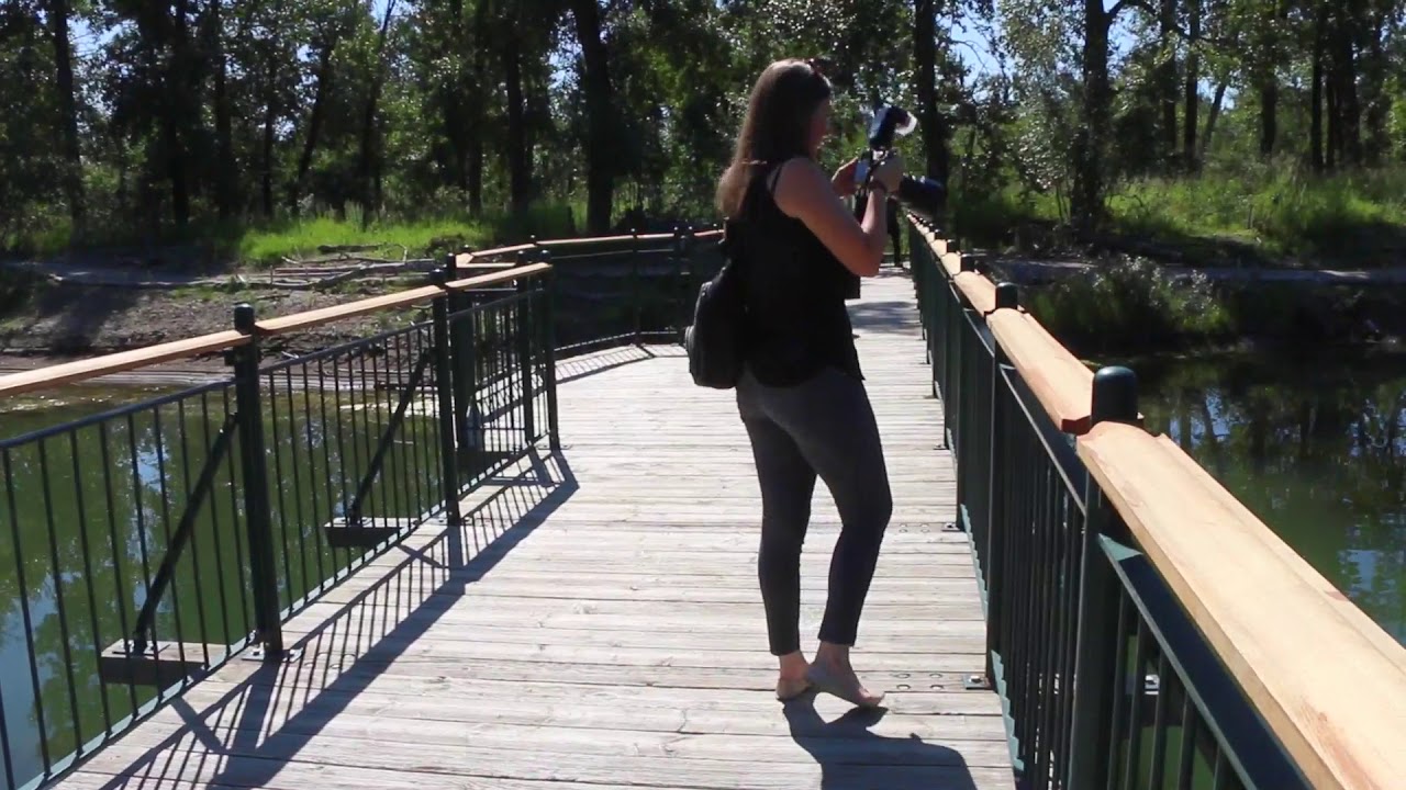 Inglewood Bird Sanctuary reopens