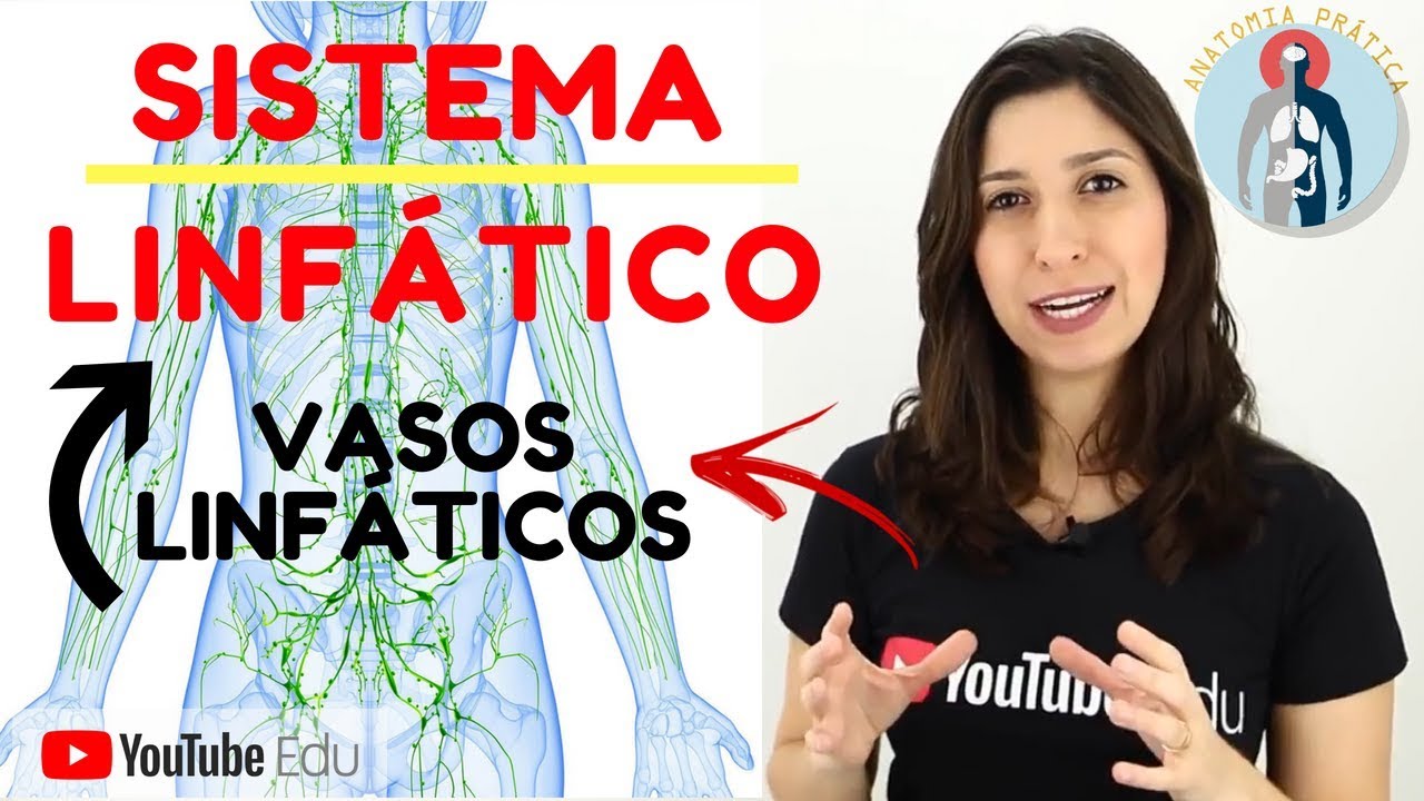 Vasos Linfáticos e Linfonodos❗DESCUBRA AQUI❗❗[Anatomia Prática]