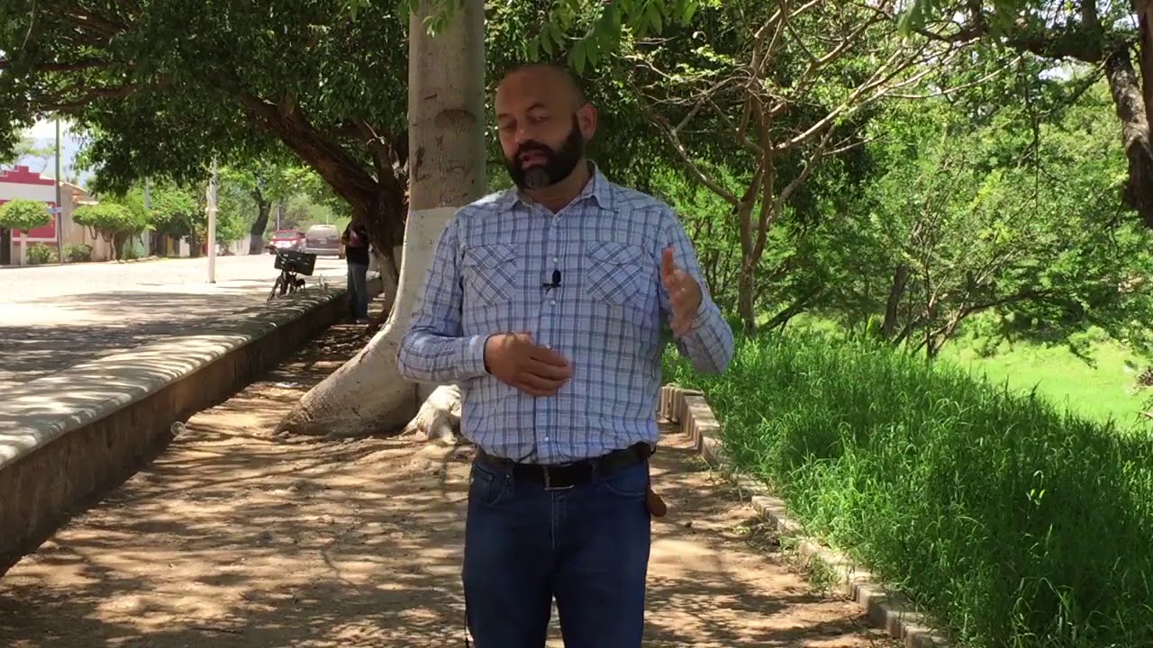 El Coajinque