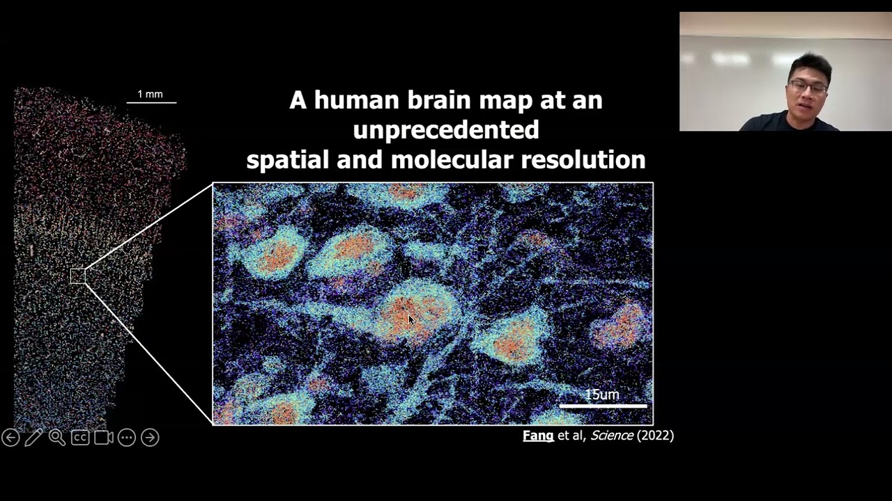 Integrated Molecular, Cellular and Spatial Analysis of the Mammalian Brain