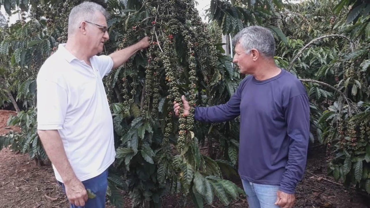 ENTREVISTA COM CAFEICULTOR PIONEIRO EM CLONAGEM  DE CAFÉ EM RONDÔNIA