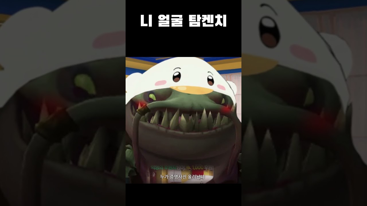 니 얼굴 탐켄치 #shorts