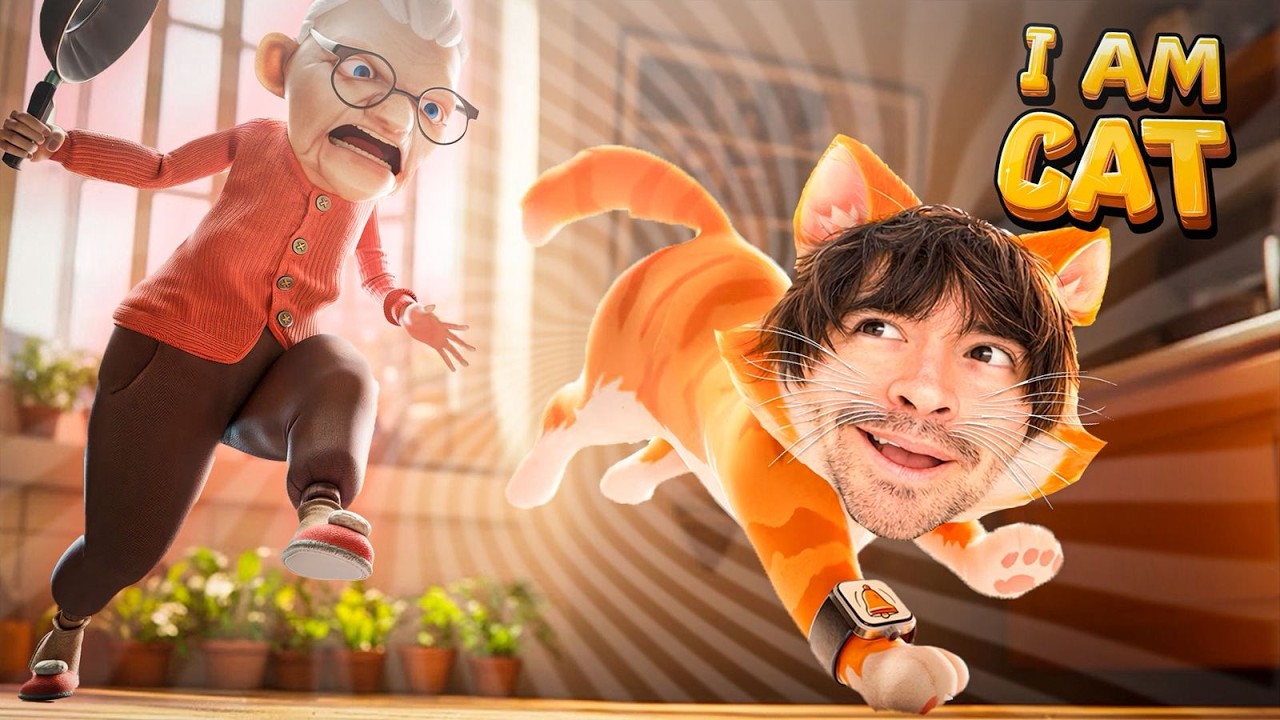desde AHORA soy UN GATO!!