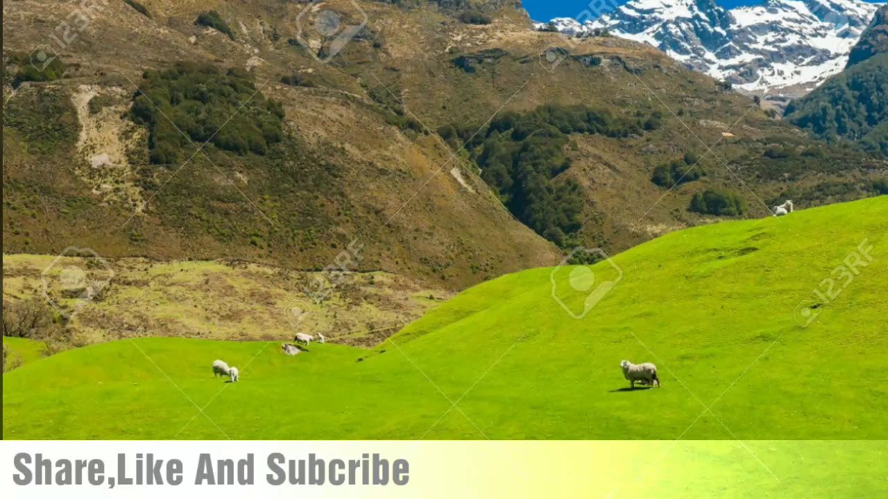 Pahari Mahiya | Iqbal Malangami
