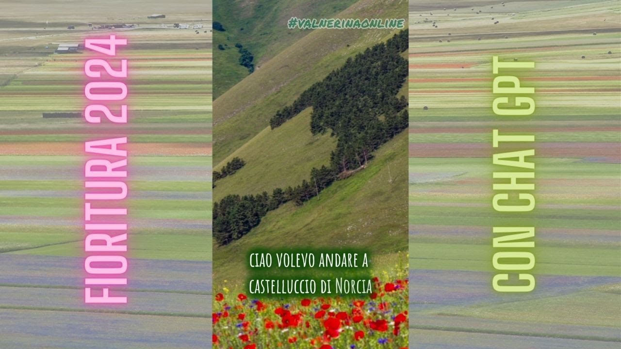 Quando c'è la fioritura di Castelluccio di Norcia? tutte le domande #castellucciodinorcia #fioritura