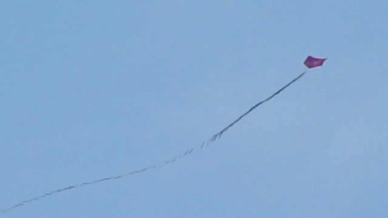 PIPA SUSPEITA