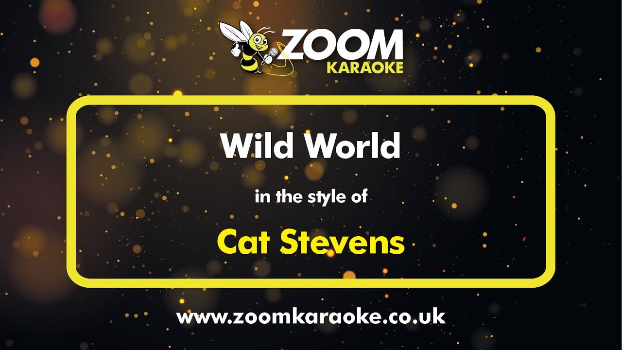 Cat Stevens - Wild World - Karaoke Version from Zoom Karaoke