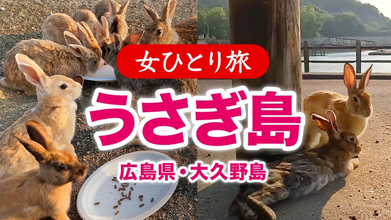 【女ひとり旅】うさぎの楽園！広島県・大久野島（ウサギ島）で1泊2日 2025.06【国内旅行】