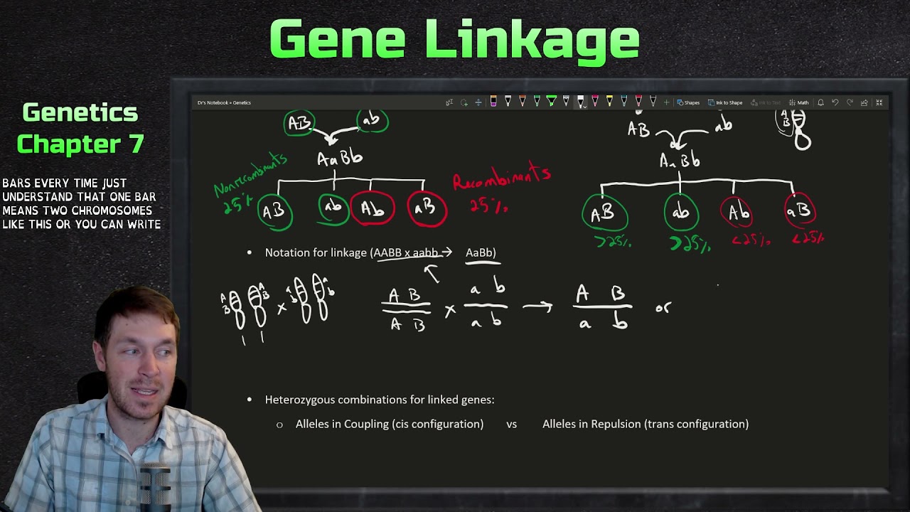 Introduction to Gene Linkage, Recombination, and Genetic Mapping | Genetics Ep. 23