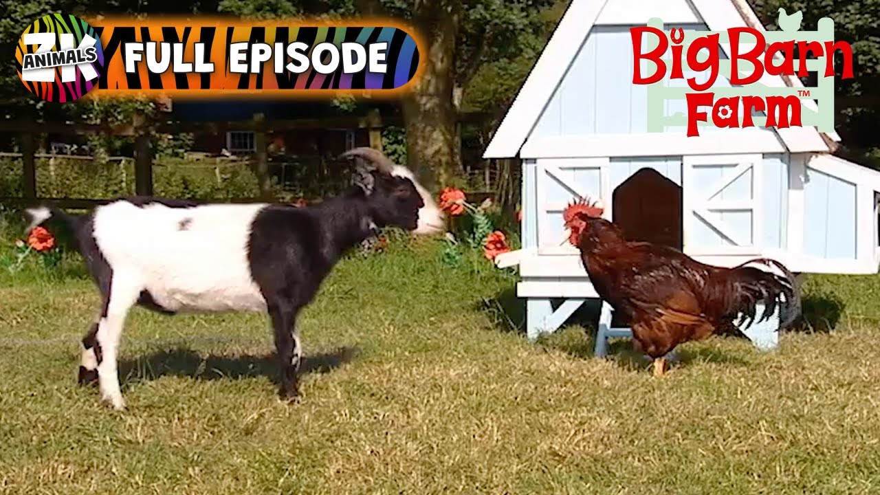 Big Barn Farm | Season 2, Episode 6 | Gobo's Imaginary Friend