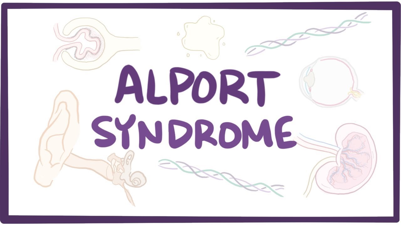 Alport syndrome - causes, symptoms, diagnosis, treatment & pathology