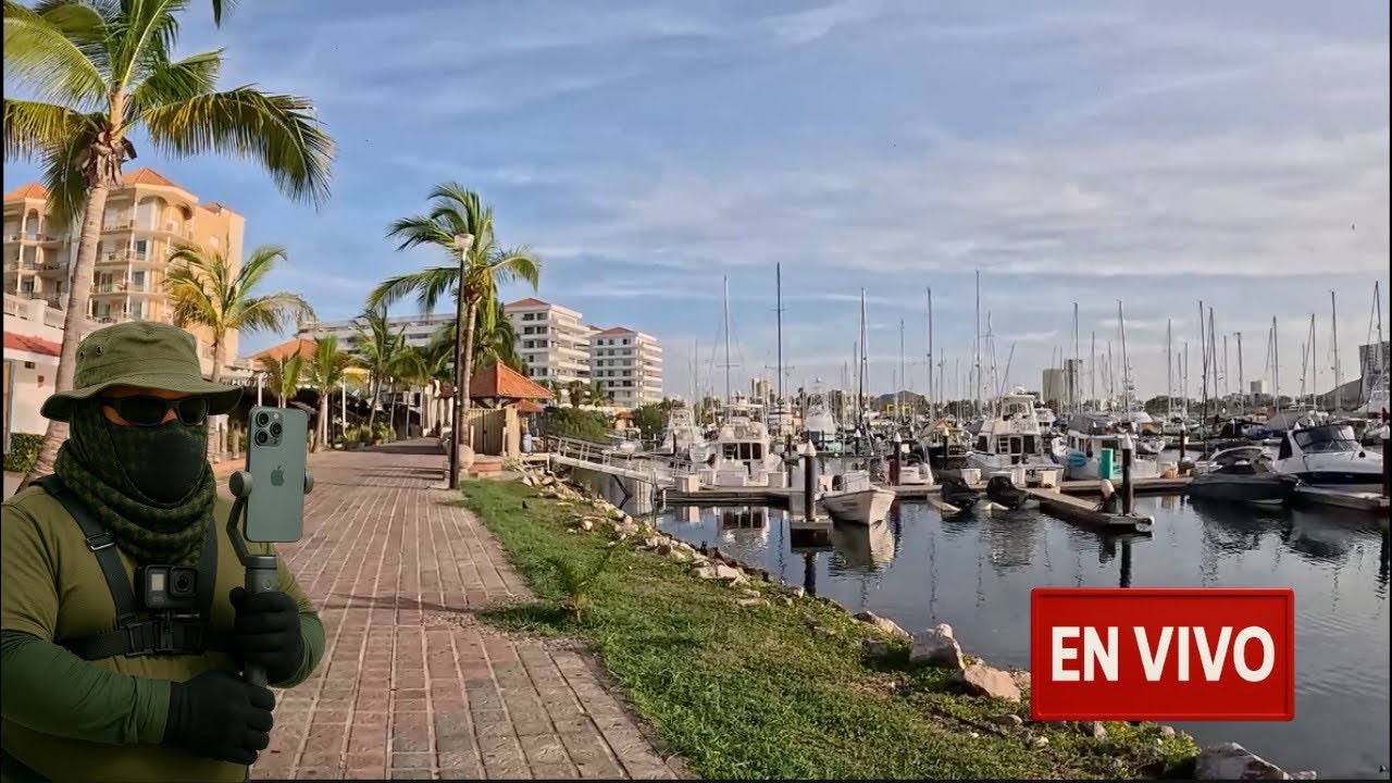 El Pulpo de Mazatlán (y de la CDMX) está en vivo