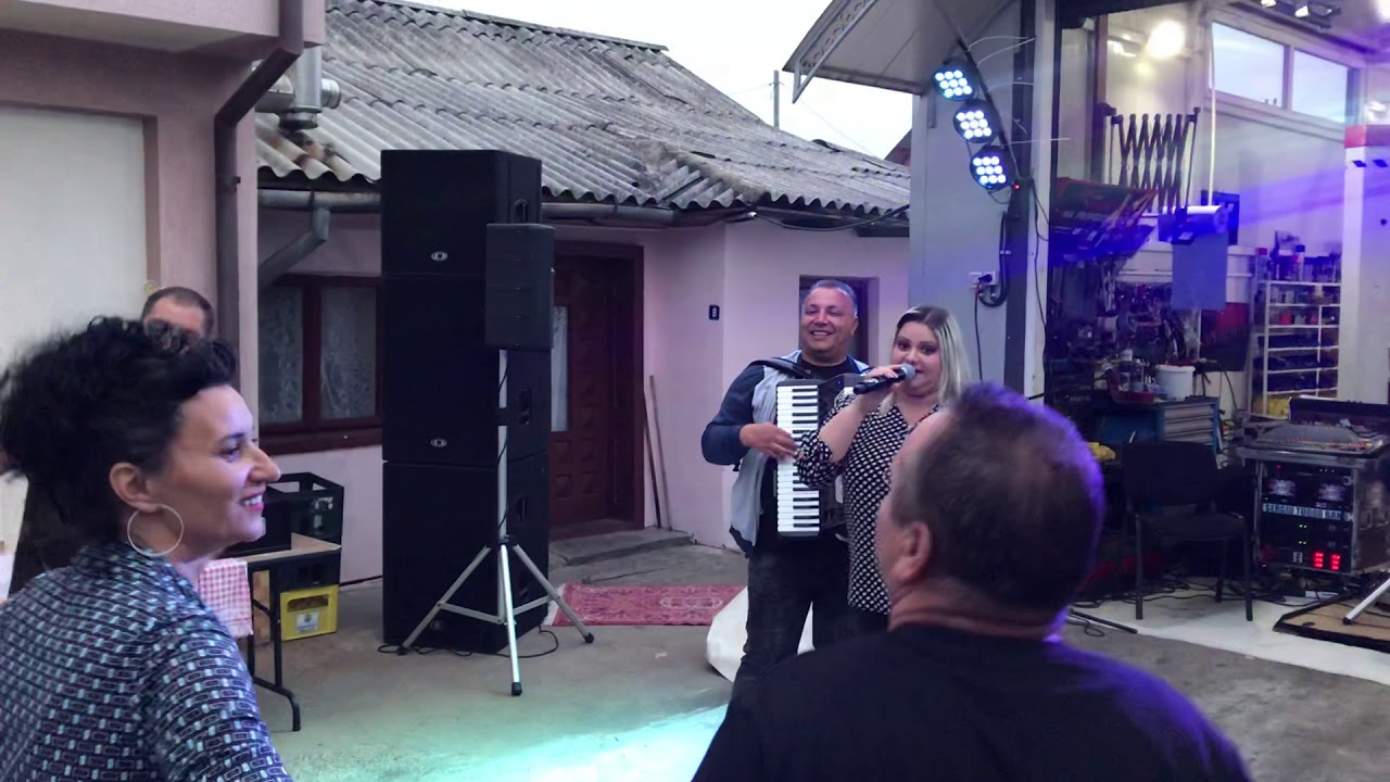 SERGIU TUDOR - HORE SI SARBE LIVE PENTRU BASCOVEANU
