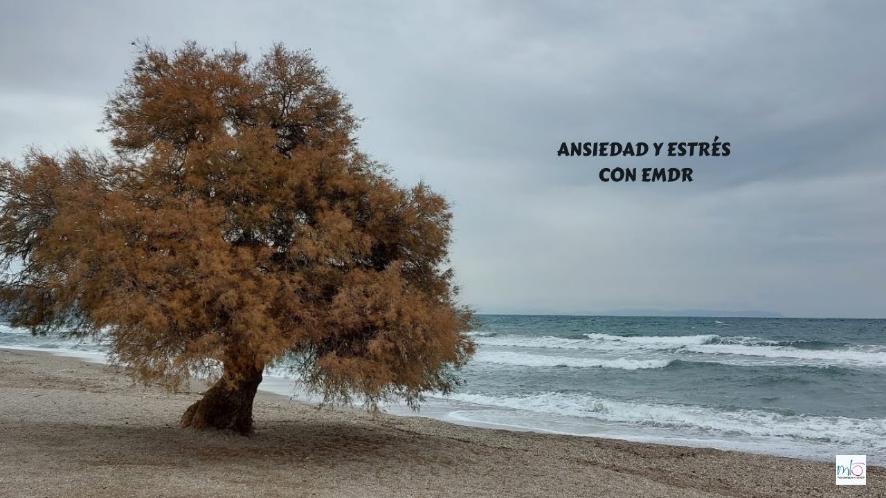 Audio para Desensibilización de ansiedad y estrés con EMDR