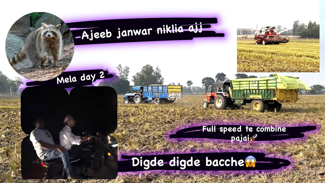 Ajeeb janwar dekhia ajj 🤨| Manish tractor boss😅| diggde diggde bacche😳[mela day 2] combine 🚀/{vlog3}